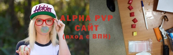 ешки Белокуриха