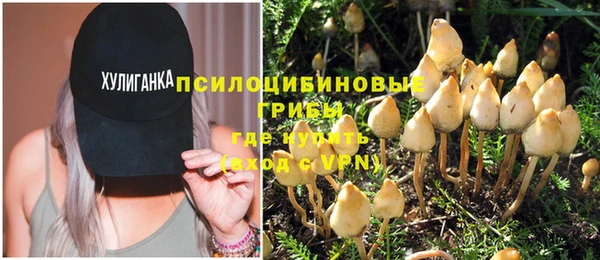 прущие крисы Баксан