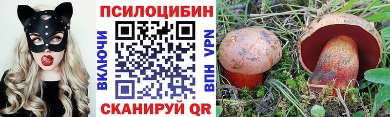 Галлюциногенные грибы MAGIC MUSHROOMS  Кстово 